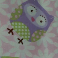 muli-coloured owls on white background