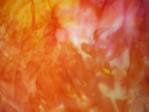 Batik Print Fabric Swatch batik cotton print fabric swatch