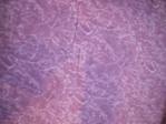 Batik Print Fabric Swatch batik cotton print fabric swatch
