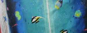 Lee Nova Craft & Haberdashery St Marys (Sydney): Tropical Fish tropical fish Print