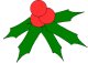 sprig of holly - green spiky leaves with red berries