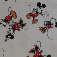 Disney Print