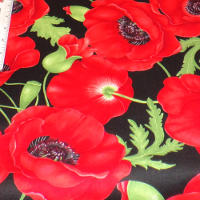 large-poppies-black-background