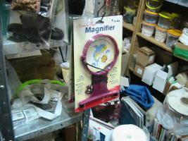 Magnifying Glass